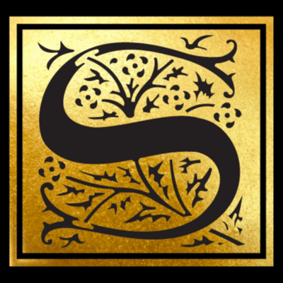 Soex logo