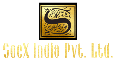 Soex india Logo