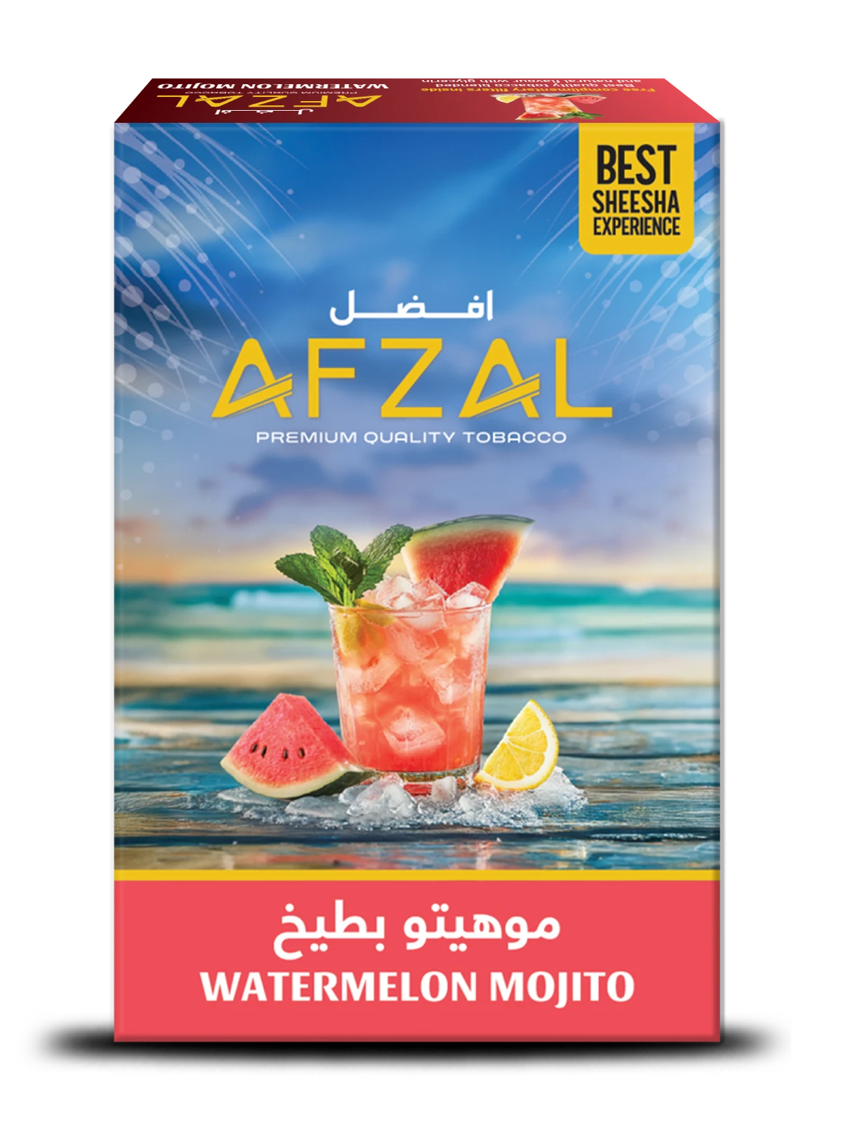 Watermelon Mojito